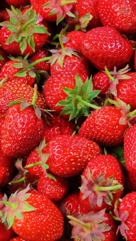 thumb for Strawberries Wallpaper