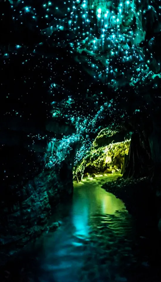 waitomo glowworm caves new zealand wallpaper