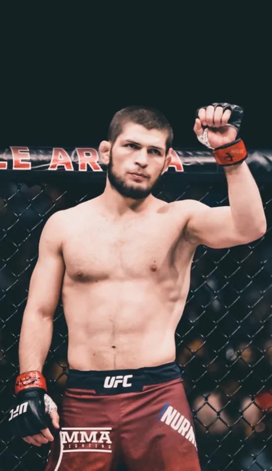 khabib wallpaper