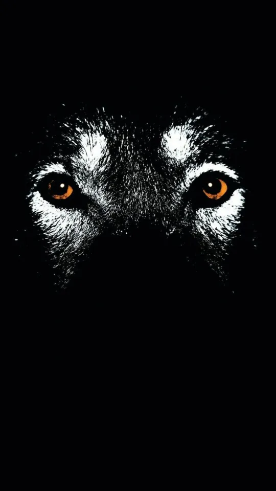 black wolf face wallpaper