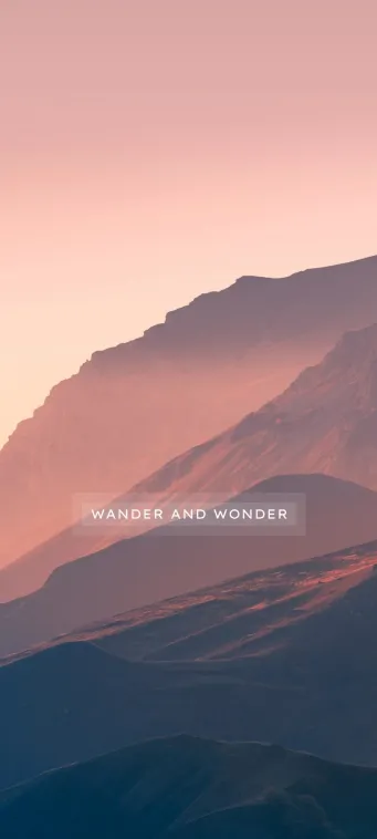 wander and wonder wallpaper