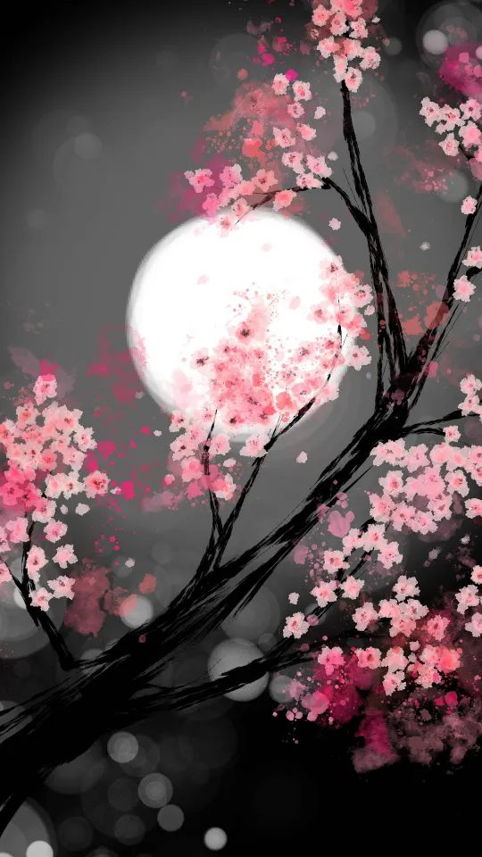 thumb for Cherry Blossom 4k Wallpaper