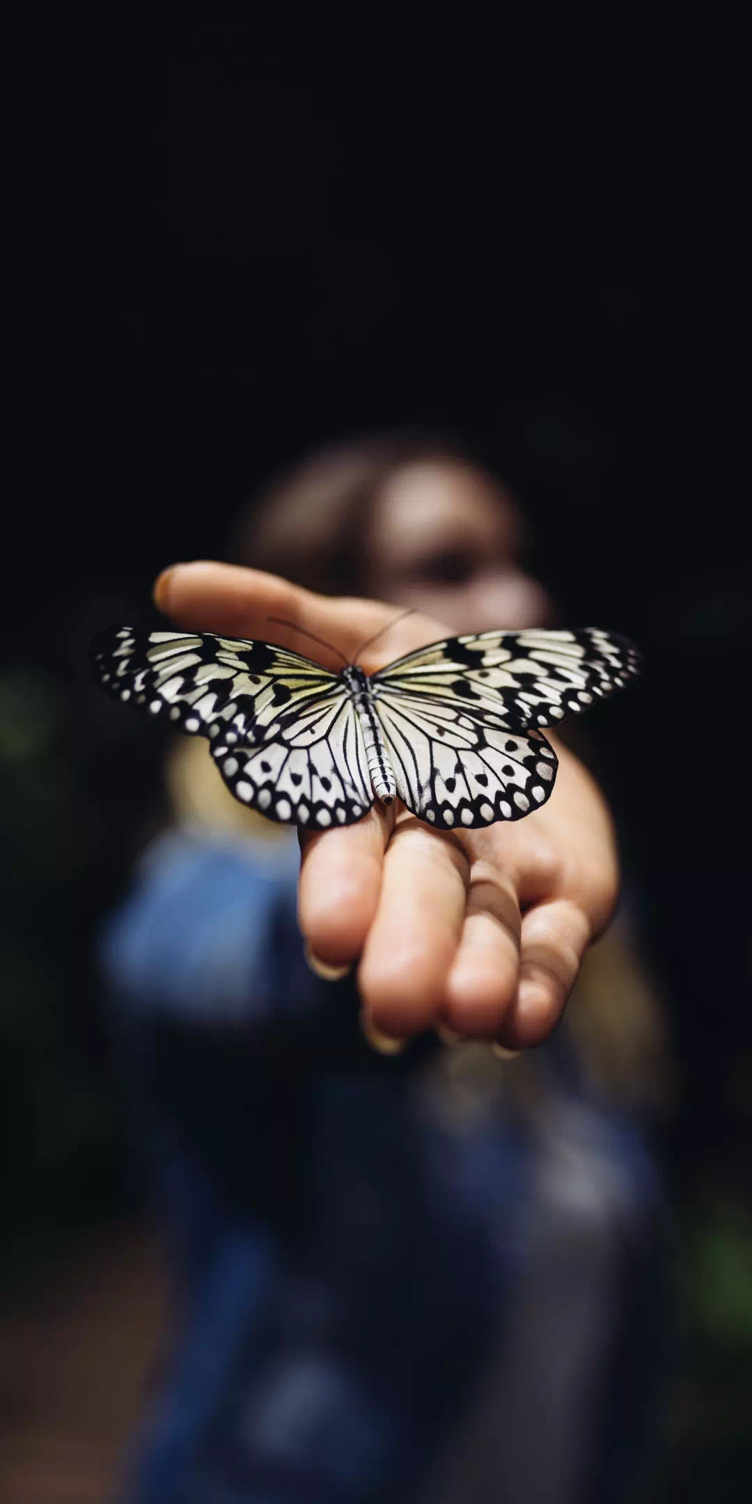 thumb for Butterfly On Hand Wallpaper