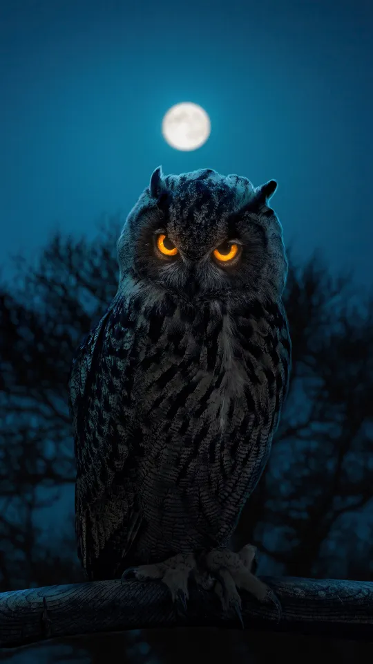 thumb for Owl Glowing Eyes Wallpaper