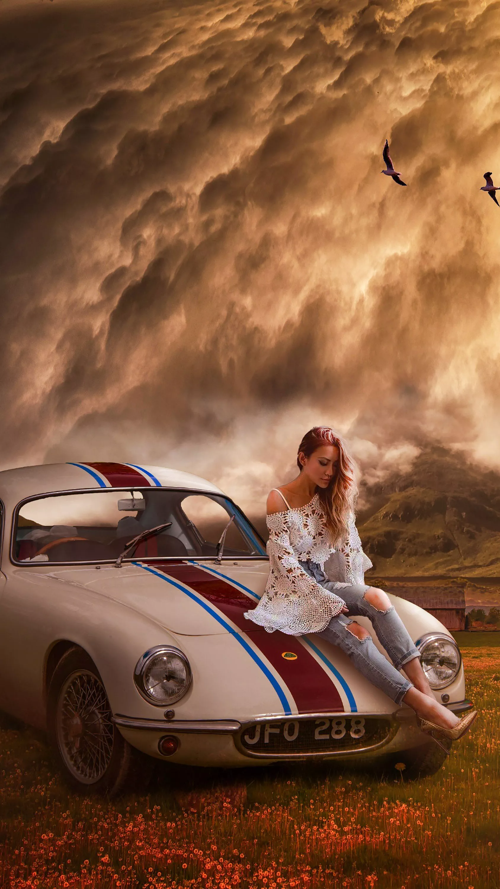 needs help birds car ford girl jeans lonely sky walllpaper