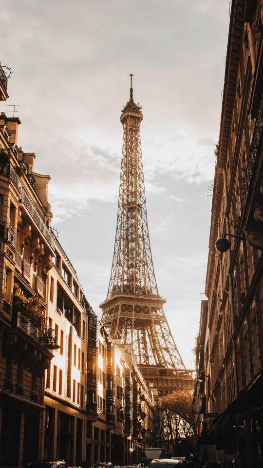 thumb for Eiffel Tower Building Wallpaper