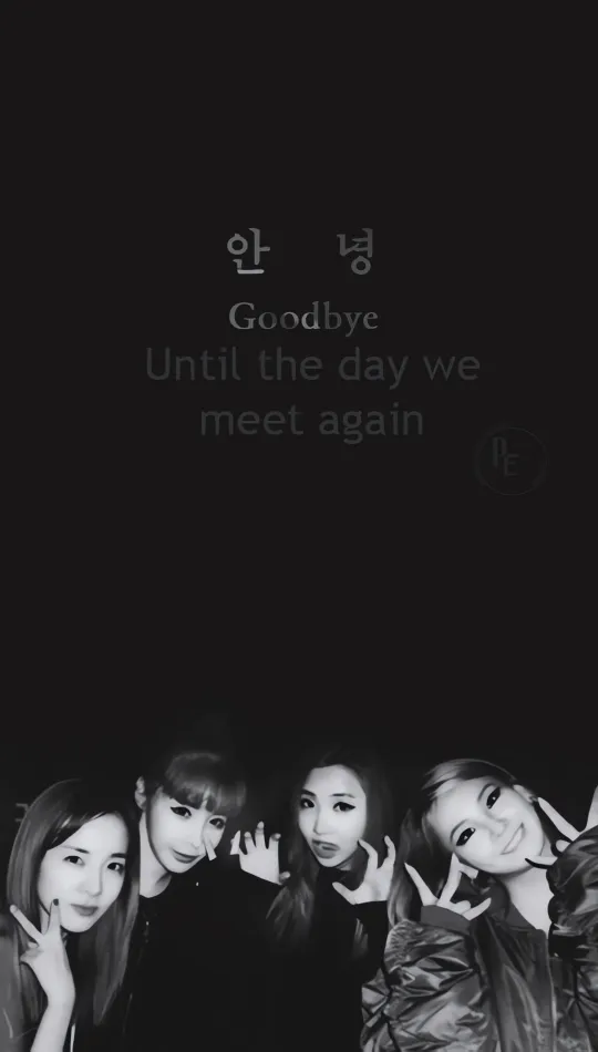 thumb for 2ne1 Black Wallpaper