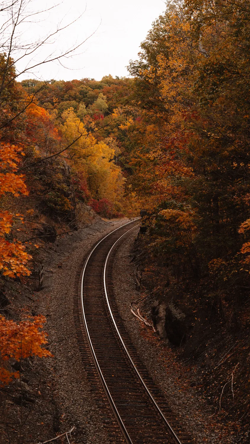 thumb for Trees And Railroad Wallpaper