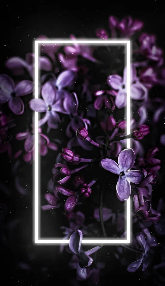 thumb for Neon Lilac Flower Wallpaper