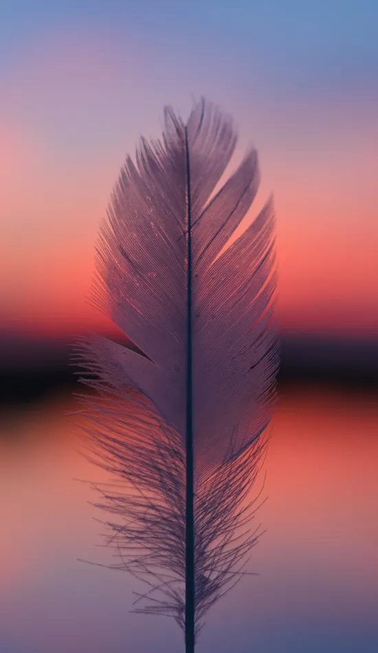thumb for Macro Feather Wallpaper