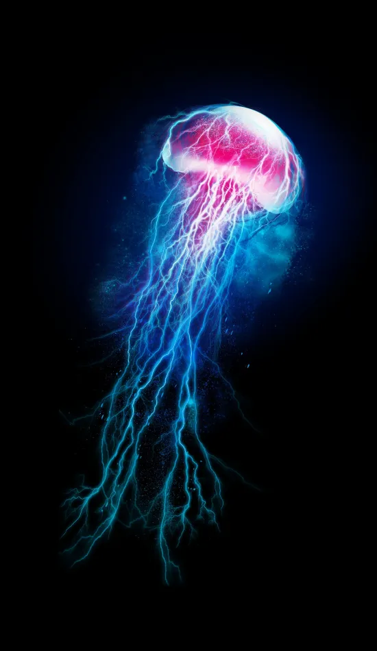 thumb for Jelly Fish Wallpaper