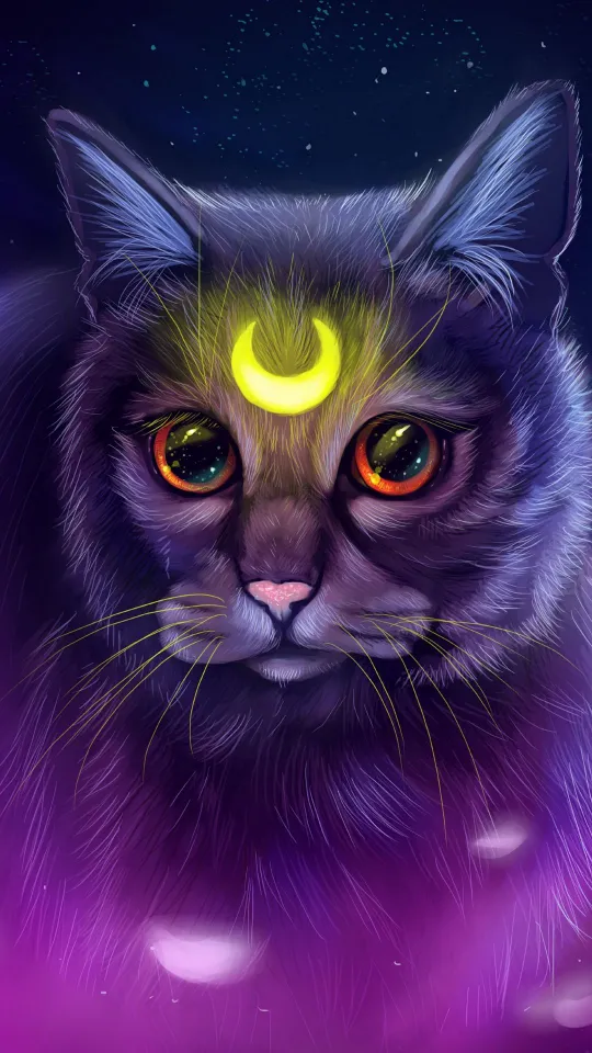 cat glow art wallpaper
