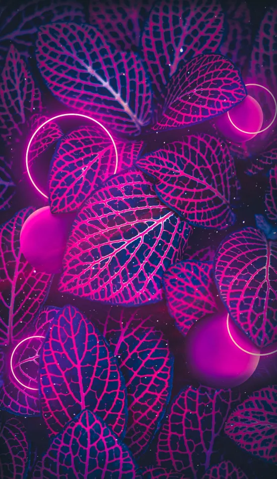neon nature wallpaper