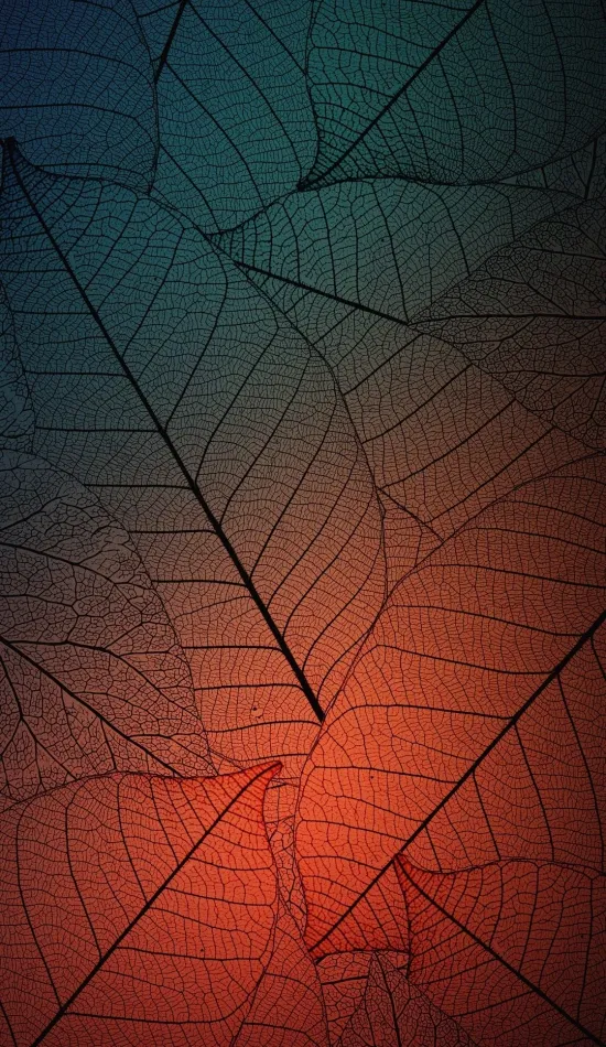 cool leaves wallpaper