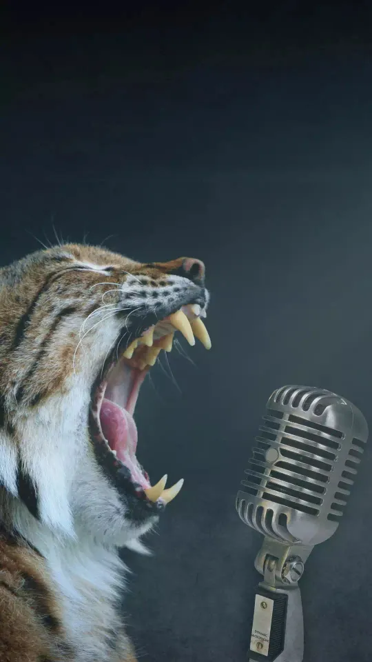 fuuny tiger sing a song wallpaper