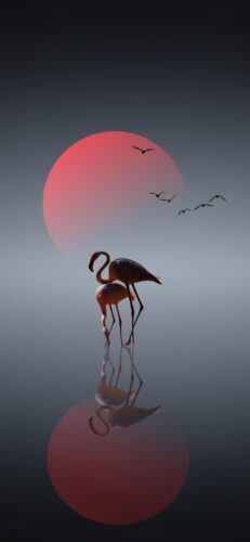 Aesthetic Flamingos Wallpaper
