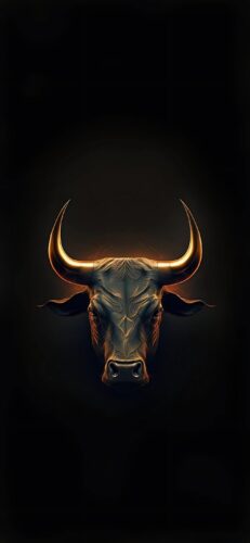 Bull Wallpaper