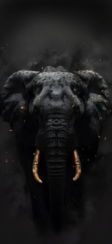 Elephant Wallpaper