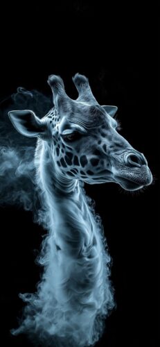Giraffe Wallpaper