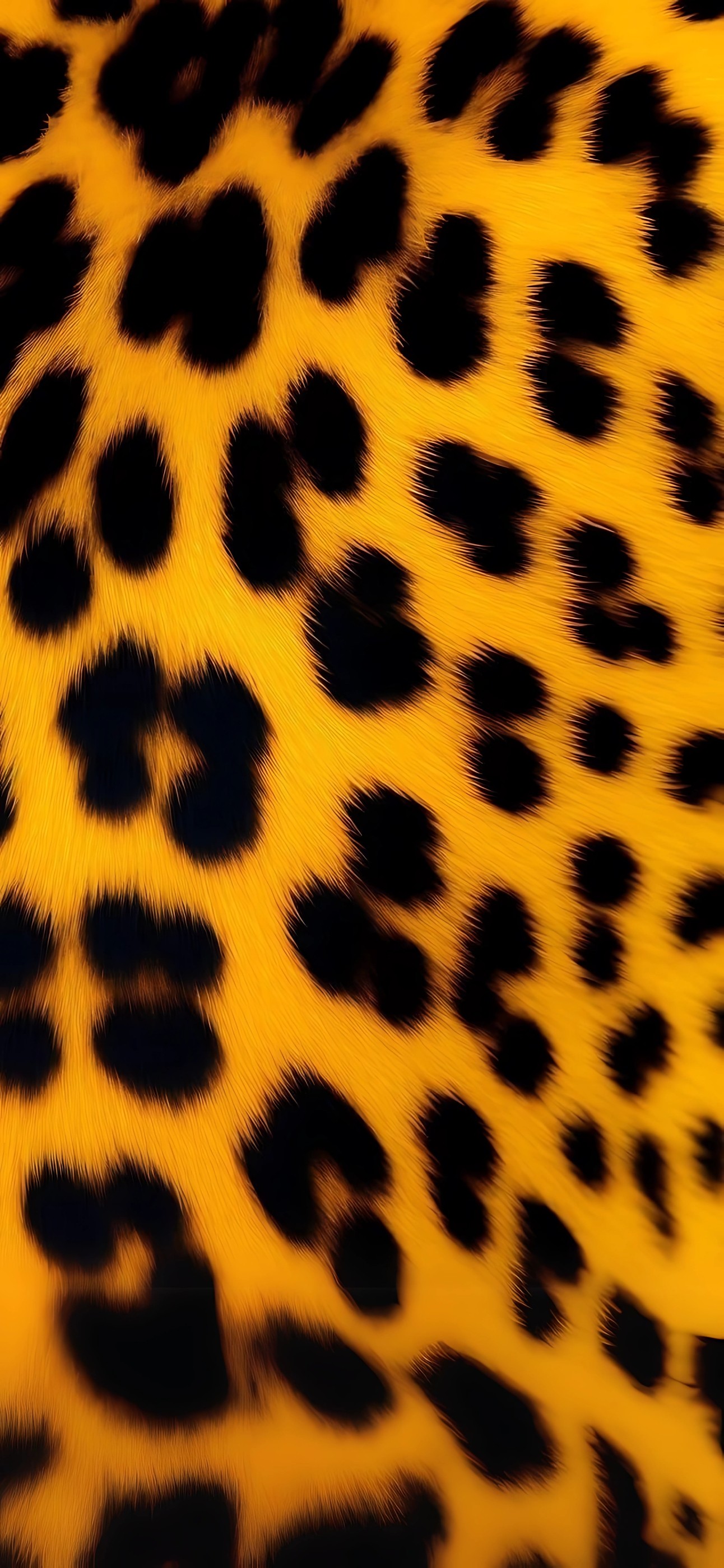 Leopard print pattern Wallpaper