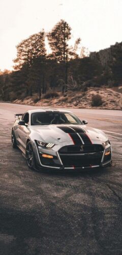 Mustang Car Wallpaper