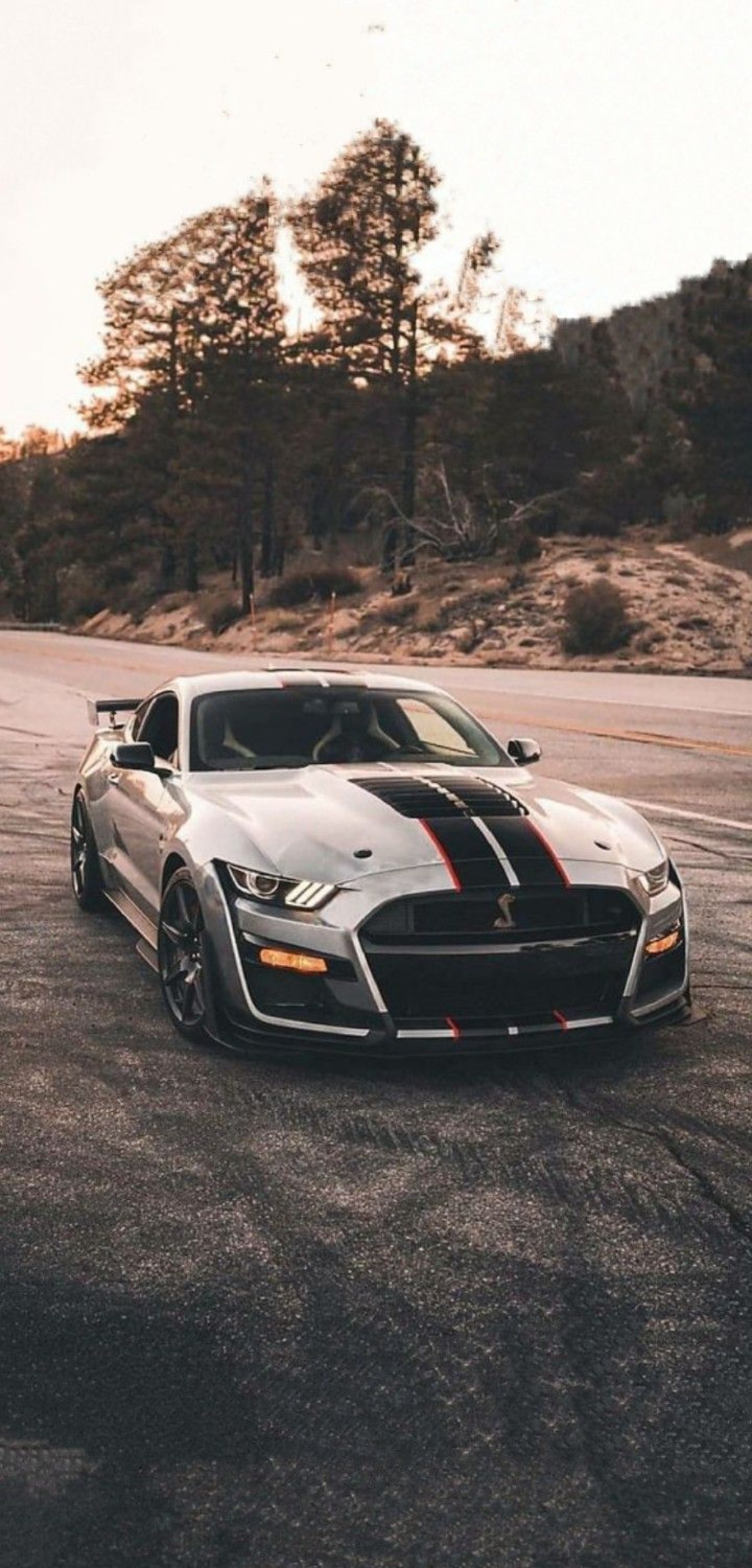 Mustang Car Wallpaper