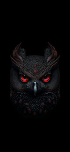 Red Eye Owl Wallpaper