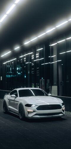 White Mustang Wallpaper