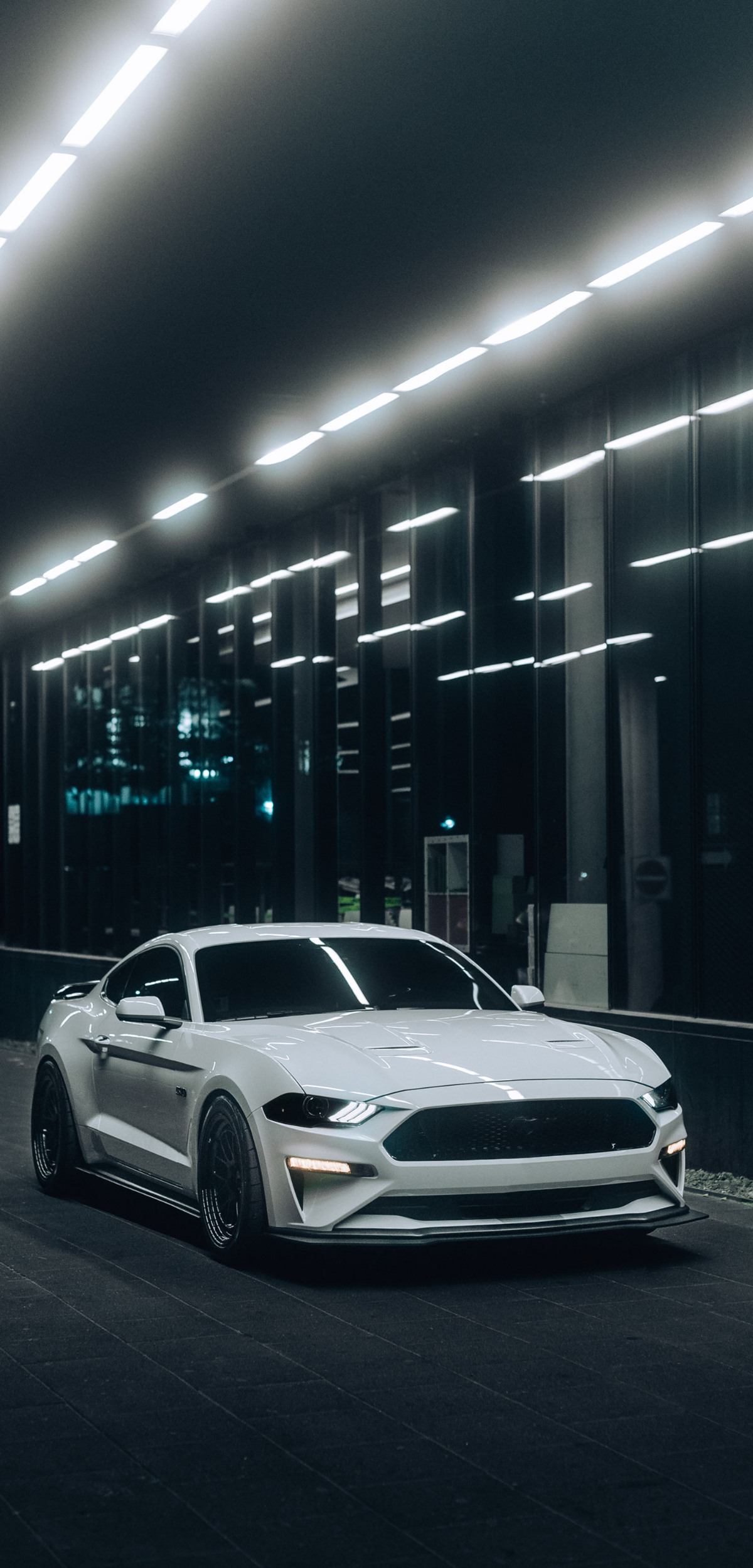White Mustang Wallpaper